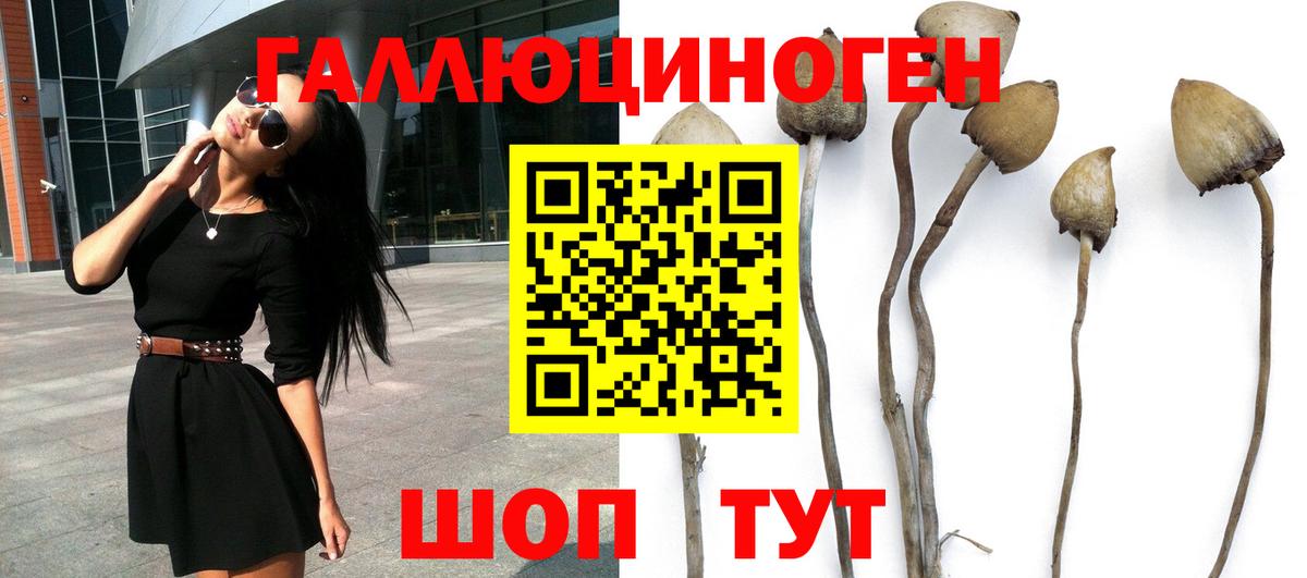 Галлюциногенные грибы GOLDEN TEACHER Десногорск