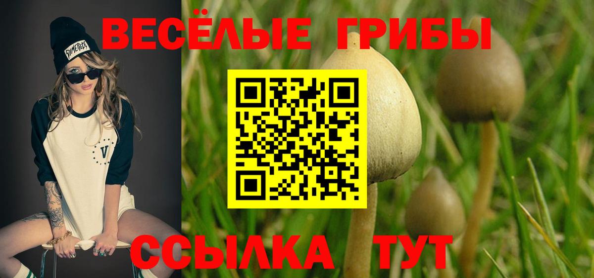 Галлюциногенные грибы мицелий  Вход с VPN  Псилоцибиновые грибы GOLDEN TEACHER  Десногорск 